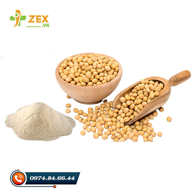 Soya Extract