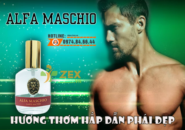 Giới thiệu alfa-maschio
