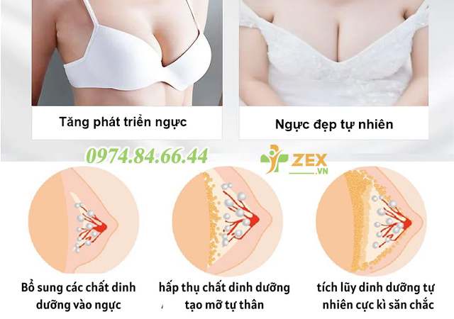 cơ chế tăng vòng 1