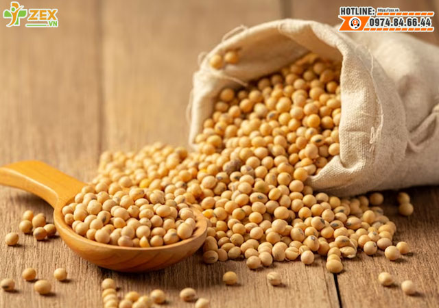 Đậu nành