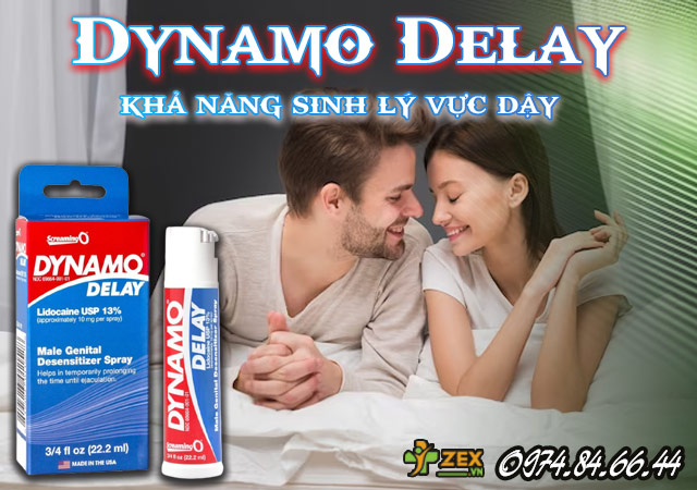 Giới thiệu Dynamo Delay
