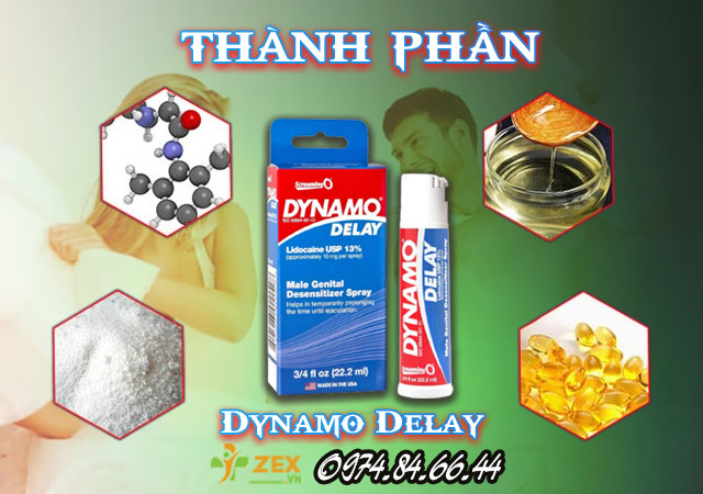 Thành phần Dynamo Delay