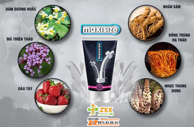 thành phần gel maxisize