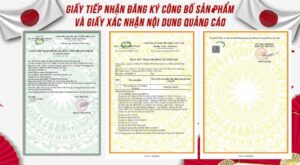 Giấy phép xtramax chính hãng