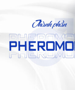 thành phần Moai Perfume For Him