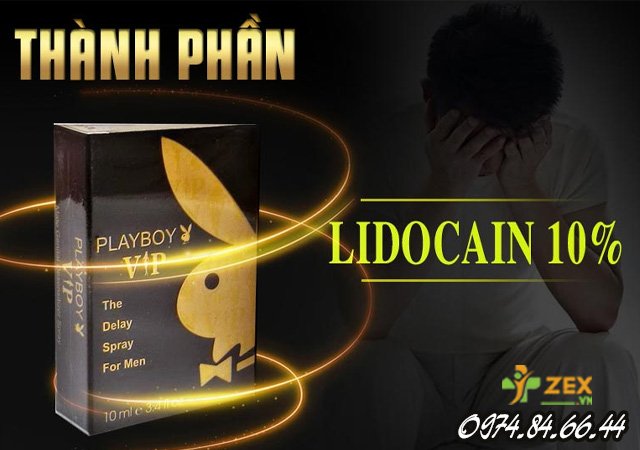 Thành phần Playboy Vip