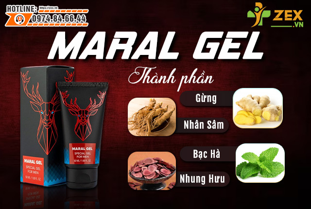 thành phần maral gel