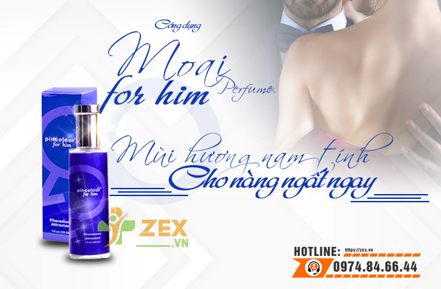 công dụng pincolour for him