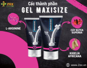 Thành phần Gel Maxisize