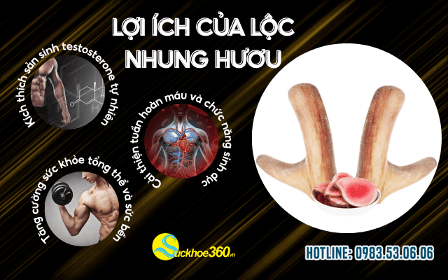 lợi ích của lộc nhung hươu