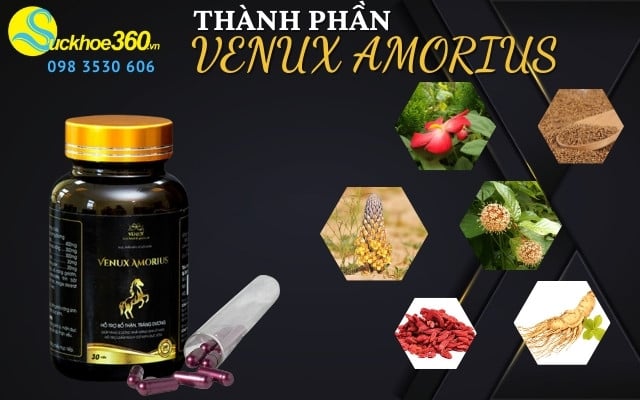 thành phần của venux amorius 
